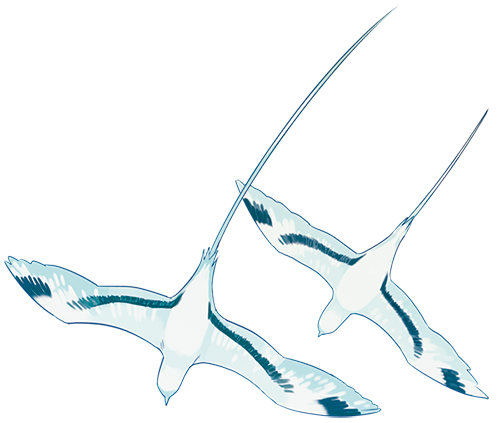 �V���I�l�b�^�C�`���E